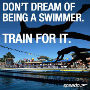 speedo quotes