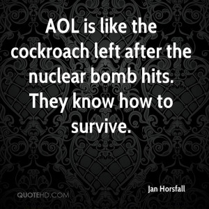 AOL is like the cockroach left after the nuclear bomb hits. They know ...