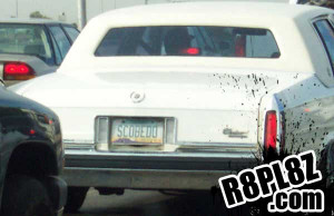 scooby-do-funny-license-plates