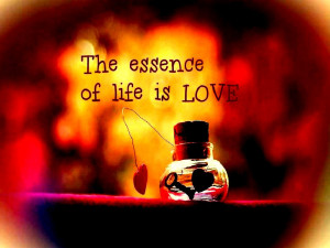 The essence of life is.... love quote bokeh:High Contrast