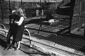 Garry Winogrand: New York , c.1962