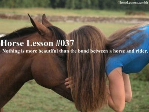 Most beautiful thing in the horse world
