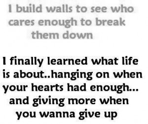 home images build walls build walls facebook twitter google+ pinterest ...