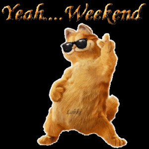 Leave a Reply Cancel reply