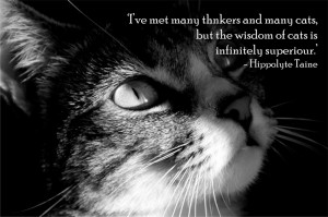 ... cats but the wisdom of cats is infinitely superior hippolyte taine