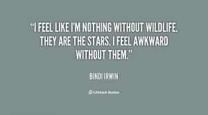 bindi irwin then and now