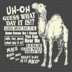 hump day camel