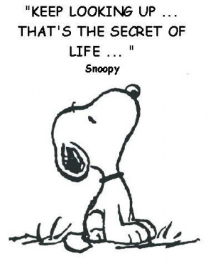 not sure if Snoopy really said this, but I like it anyway.