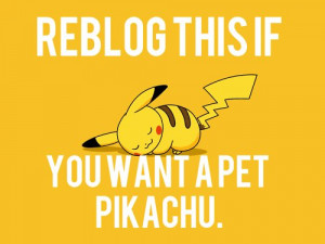 pet, pikachu, pokemon, reblog