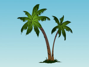 How Draw Palm Trees Lesson