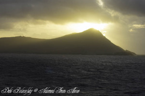 Spiritual Gifts In The Bible Verses