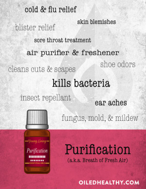Purification (a.k.a A Breath of Fresh Air) is a Young Living essential ...