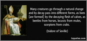 decay pass into different forms, as bees [are formed] by the decaying ...