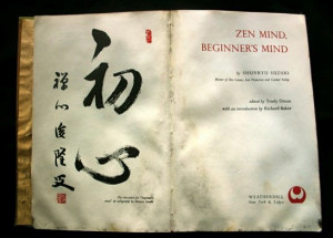 What is the Beginner’s Mind?