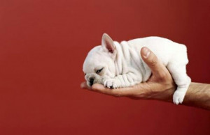 Pinned by Meghan Otterson Setzer