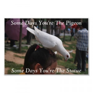 Pigeon... Quote from my Nine Year old boy tonight (Yes, I'm the statue ...