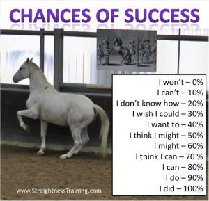 Horse Training Quotes http://straightnesstraining.com/horse-quotes ...