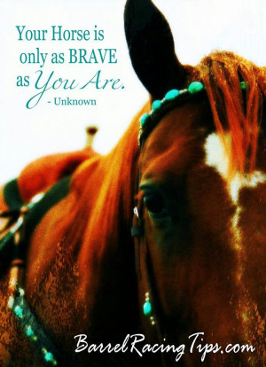 Rider Quotes, Barrels Hors, Hors Barrels Racing, Hors And Rider Quotes ...