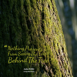 Quotes Picture: nothing prevents us from seeing the forest behind the ...