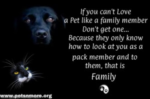 ... pet, animal, inspiring quotes for animal lovers, petsnmore.org, family