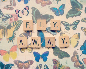 fly away quotes butterfly