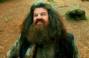 ... Hagrid, por la misma petición de J.K. Rowling. Ha participado en