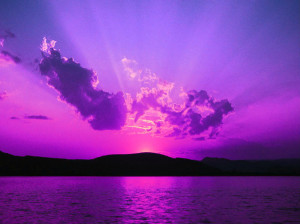 purple sunset Image