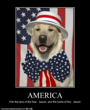 Funny 4th of July Images
