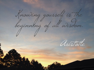 Aristotle quote.3