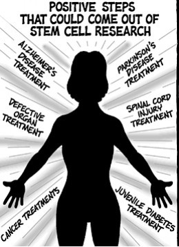 The morality of embryonic stem cell research