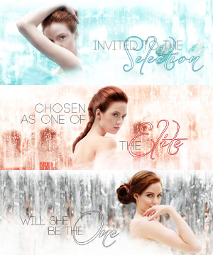 Fanart-of-the-selection-the-selection-series-35739453-500-600.png