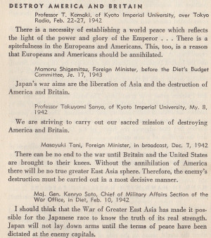 Actual Japanese Quotes About the War