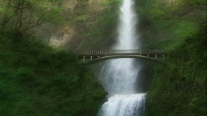 Happiness is mental harmony: unhapppiness is mental inharmony ...