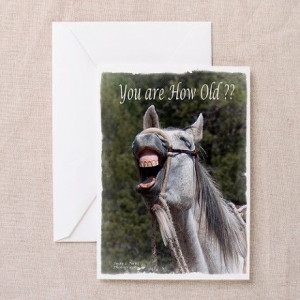 Birthday Horse Laugh Greeting Card by judylneill