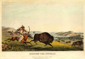 Native Americans Hunting Buffalo