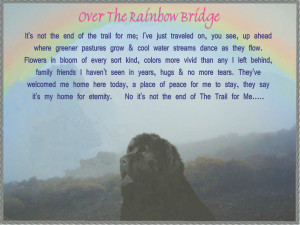 death quotes rainbow bridge displaying 18 images for dog death quotes ...