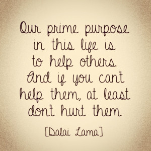 You need to enable JavaScript to vote