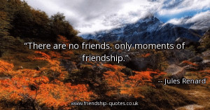 there-are-no-friends-only-moments-of-friendship_600x315_56424.jpg
