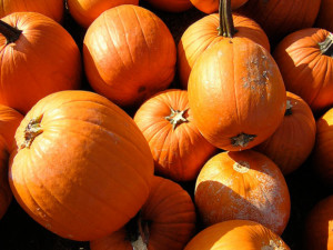 Pumpkin Recipes - Pumpkin Carving - Pumpkin Patterns - Pumpkins ...