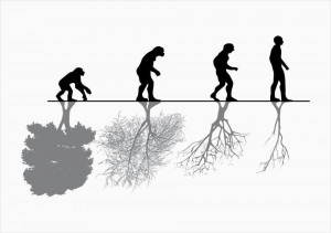 Human nature VS evolution