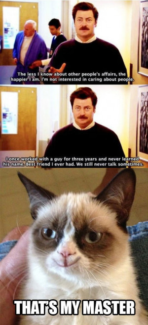 Funny Grumpy Cat Quotestop Most Funniest Quotes Just Laughs