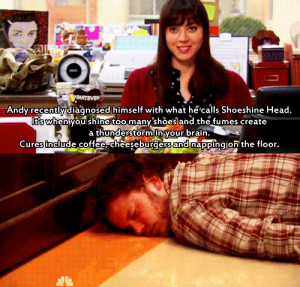 Andy Dwyer Parks and Recreation