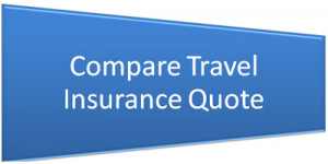 The Australian travel insurance policies are from the best providers ...