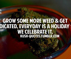 Weed Tumblr Quotes Kush quotes follow almost 2