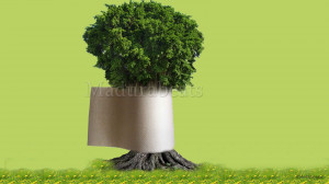 Paper roll tree - Paper roll in tree trunk with green background