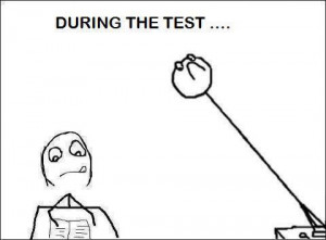 exams, funny, lol, school, students, test, true, yes