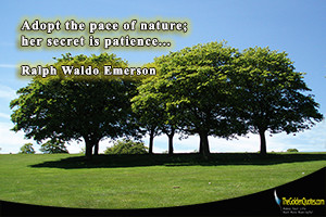 Adopt the pace of nature; her secret is patience…