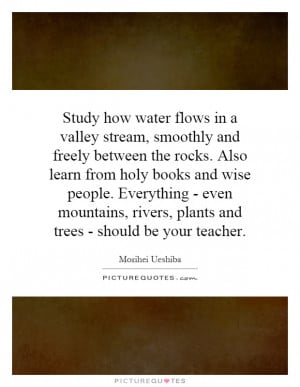 Study how water flows in a valley stream, smoothly and freely between ...