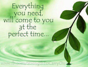 Quotes About Love and Marriage