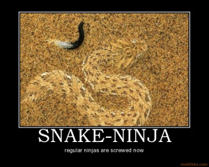 SNAKE-NINJA - regular ninjas are screwed now demotivational poster